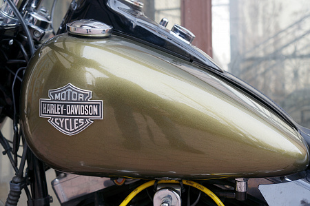 HARLEY-DAVIDSON FLS 1690 SLIM