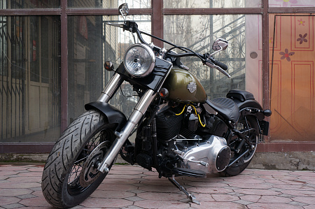 HARLEY-DAVIDSON FLS 1690 SLIM