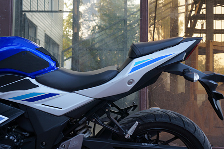 SUZUKI GSX250R