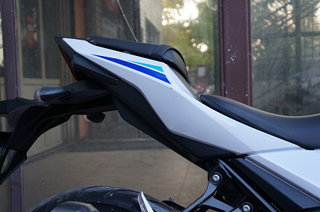 SUZUKI GSX250R