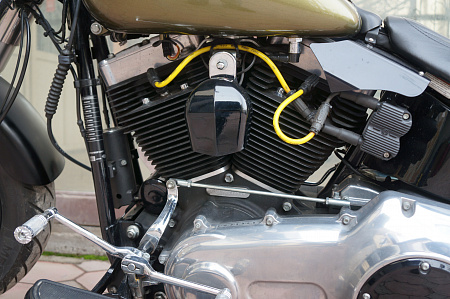 HARLEY-DAVIDSON FLS 1690 SLIM