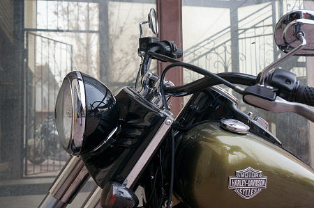 HARLEY-DAVIDSON FLS 1690 SLIM