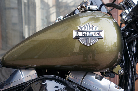 HARLEY-DAVIDSON FLS 1690 SLIM