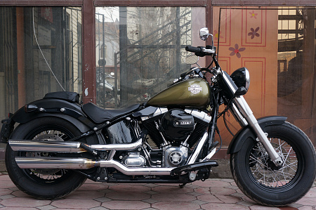 HARLEY-DAVIDSON FLS 1690 SLIM