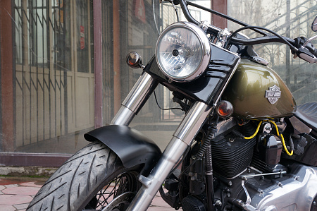 HARLEY-DAVIDSON FLS 1690 SLIM